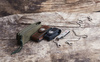 Poutko na opasek Multiclip Victorinox 4.1858, fotografie 3